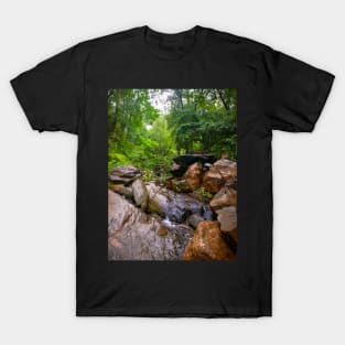 Central Park Stream Rocks Nature Manhattan New York City T-Shirt